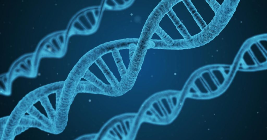 dna-1811955_171115-132339_mos